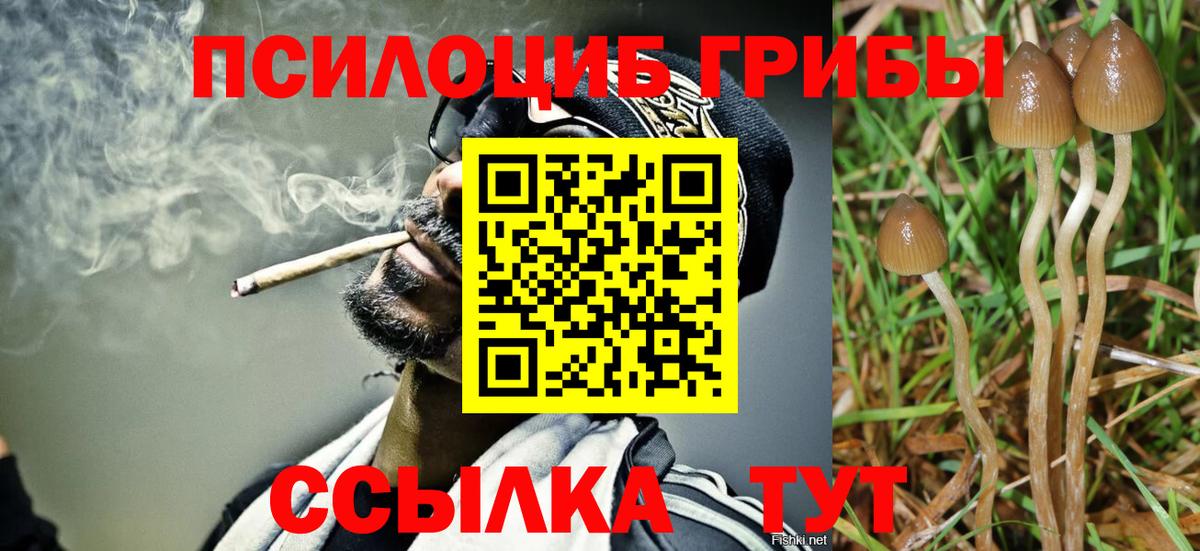 Верхний Уфалей  Псилоцибиновые грибы Psilocybine cubensis  Вход с VPN 