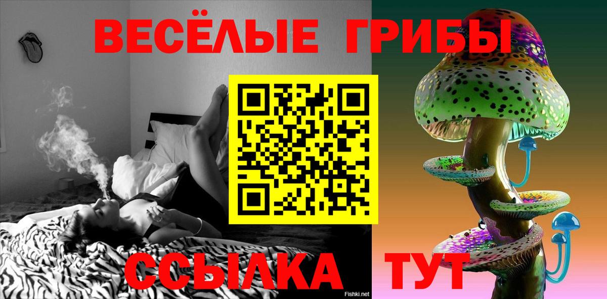 Псилоцибиновые грибы прущие грибы Верхний Уфалей